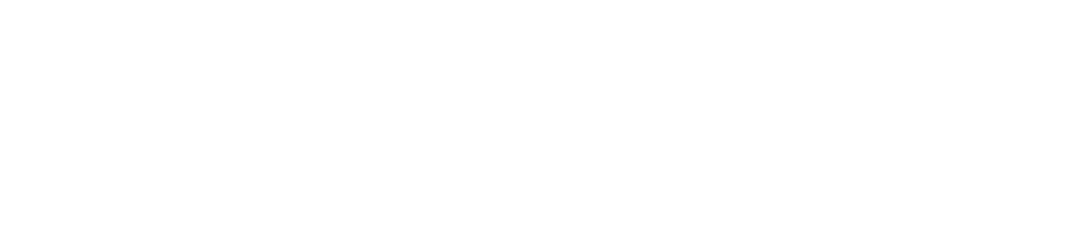 Logo Sparkify in het wit
